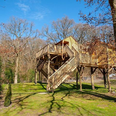 Oakside Tree Tops カンタベリー エクステリア 写真