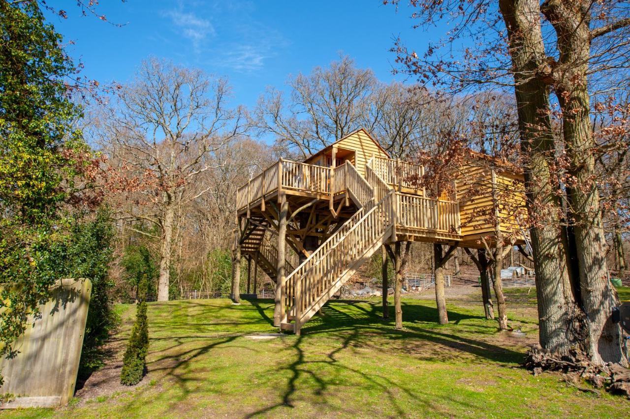 Oakside Tree Tops カンタベリー エクステリア 写真