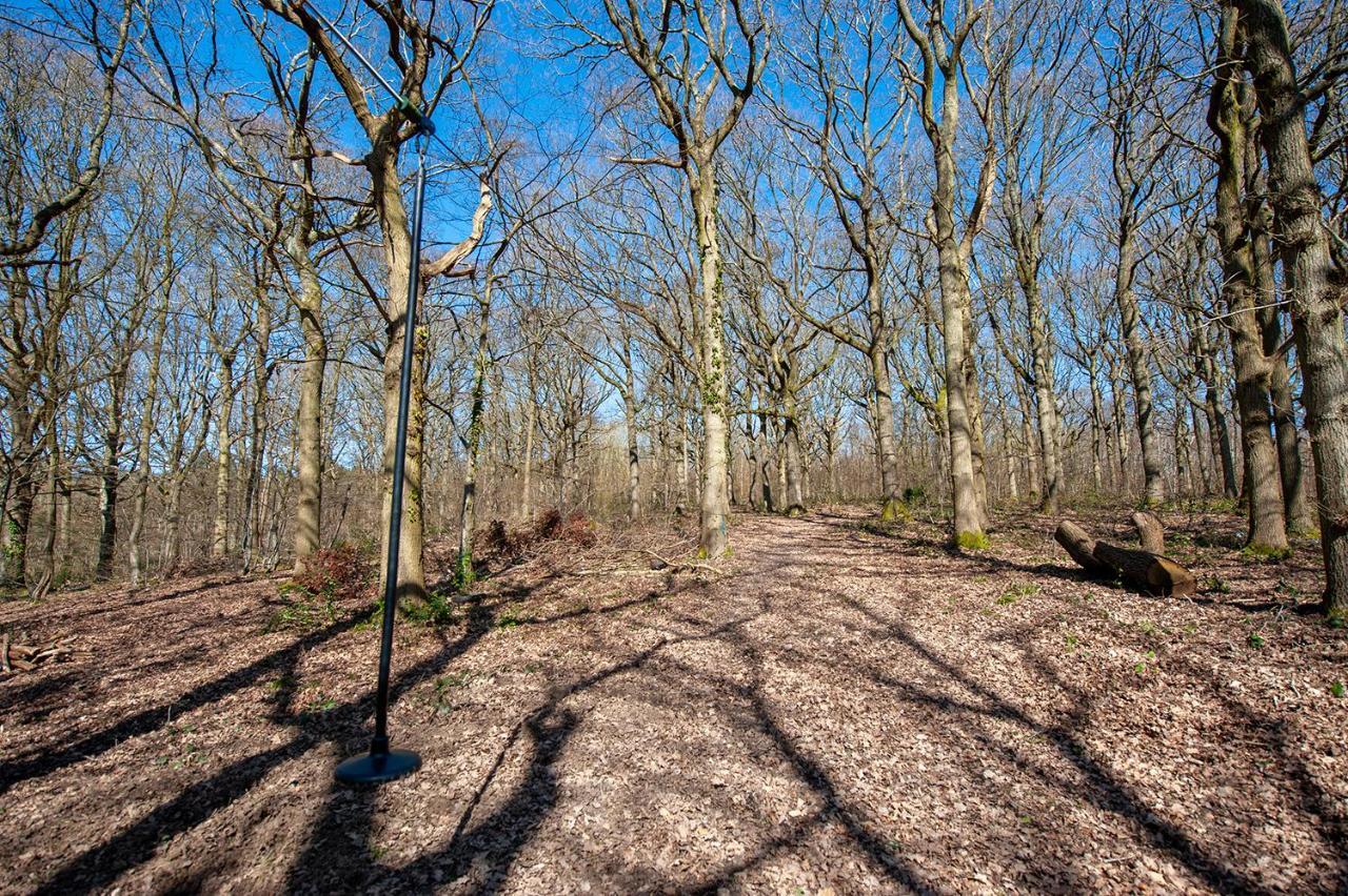 Oakside Tree Tops カンタベリー エクステリア 写真