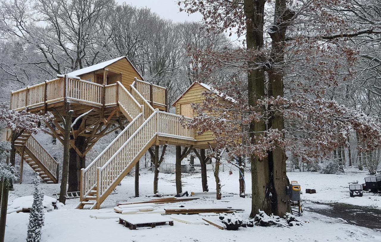 Oakside Tree Tops カンタベリー エクステリア 写真